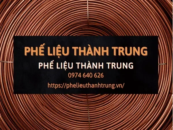 đồng thanh l&yacute;