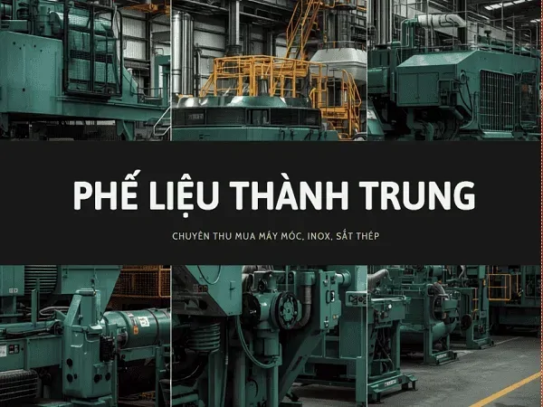 máy phế máy phế
