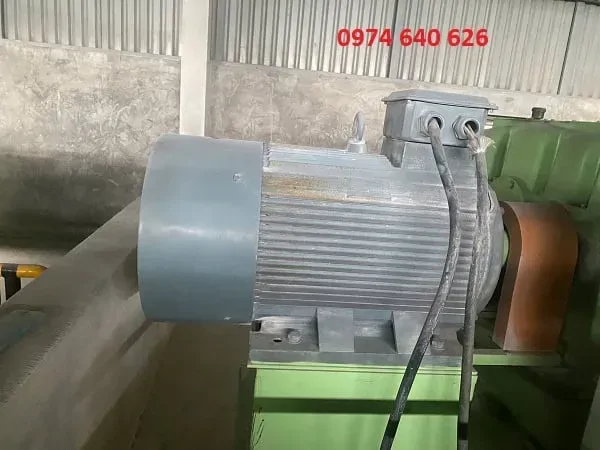 m&ocirc; tơ phế